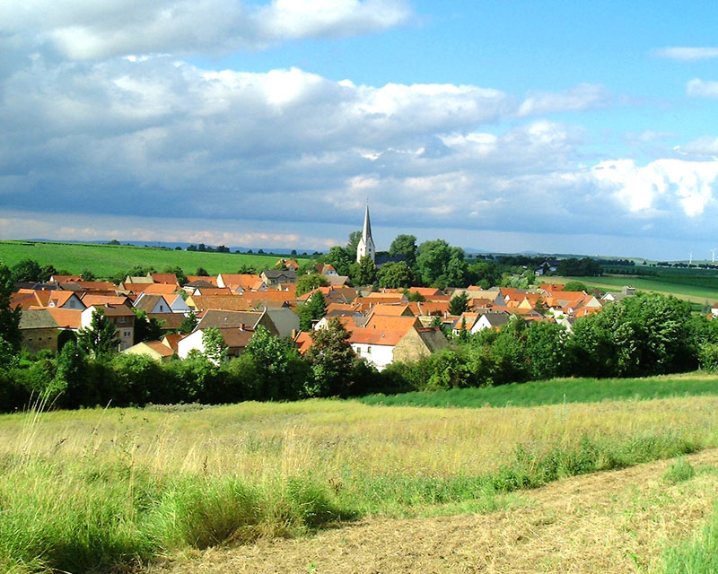 Blick von Sden im Sommer