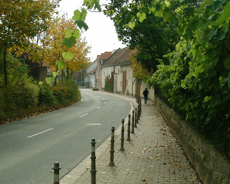 Eingangsstrae von Schornsheim her