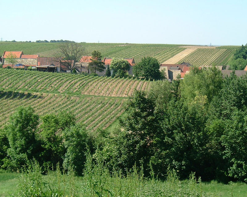 Blick von Sden auf das Oberdorf