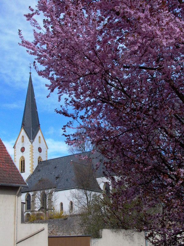 Blick zur Kirche