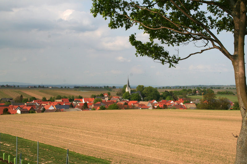 Gabsheim vom Wasserhuschen aus