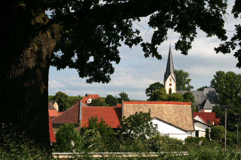 Blick vom Eichbaum zur Kirche