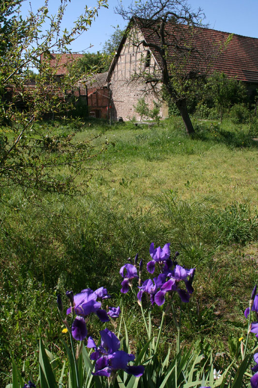 Garten und Scheune