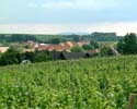 Blick ber das Oberdorf zum Donnersberg