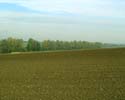 Undenheimer Grund