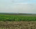 Landschaft um Gabsheim