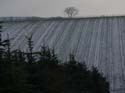 Landschaft