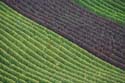 Rebreihen im Herbst