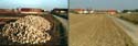 ca. 1970 und 2000