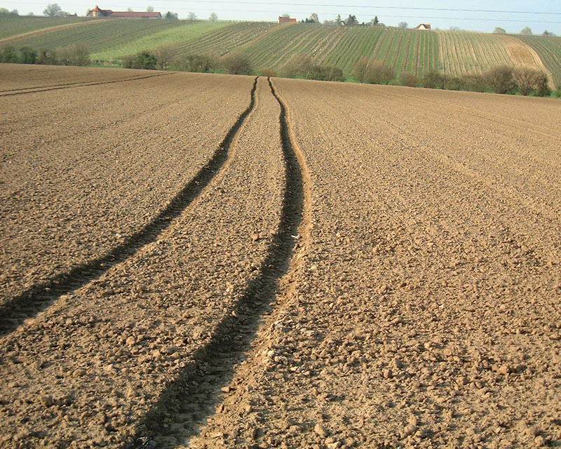 Spur im Feld