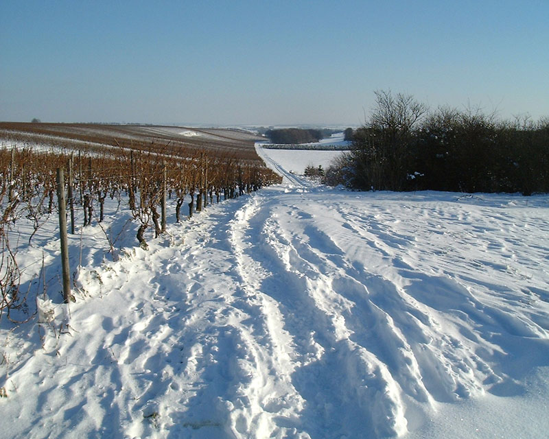 Winter am Herrnfeld