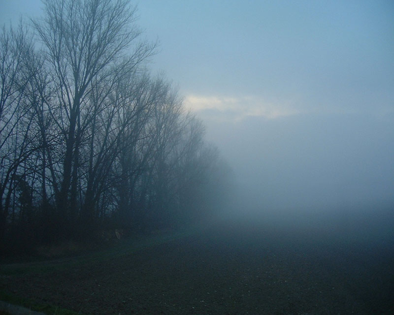 Nebel