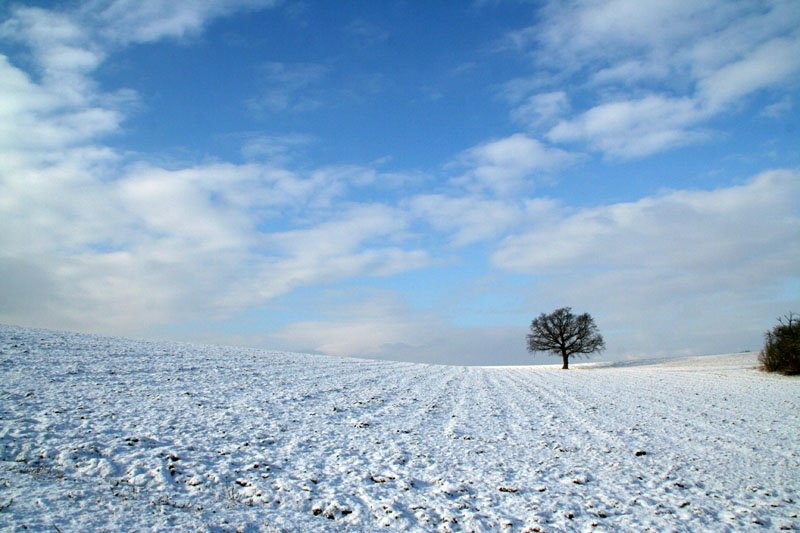 Wintersonne