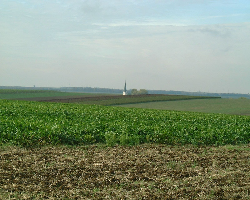 Landschaft um Gabsheim