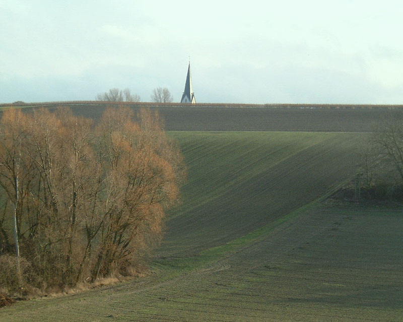 Gabsheimer Landschaft