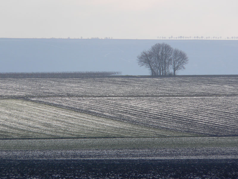 Landschaft im Winter