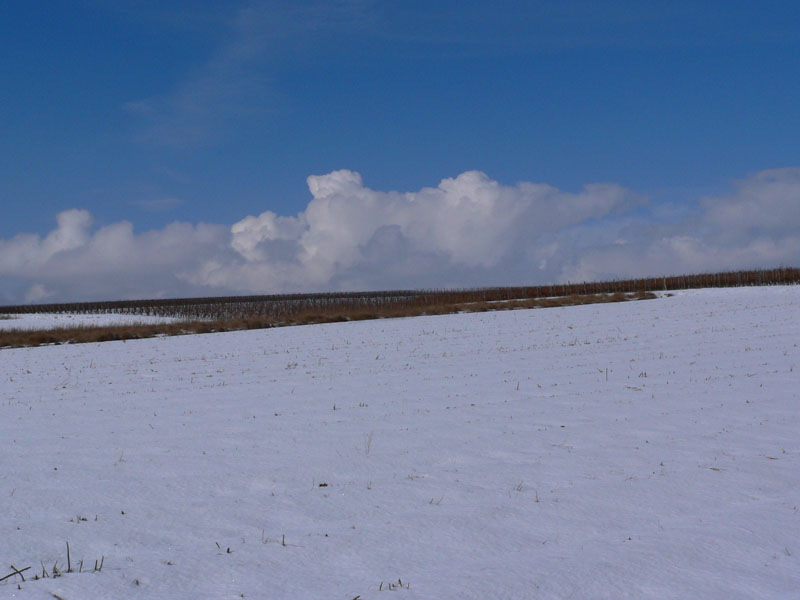 Landschaft im Winter