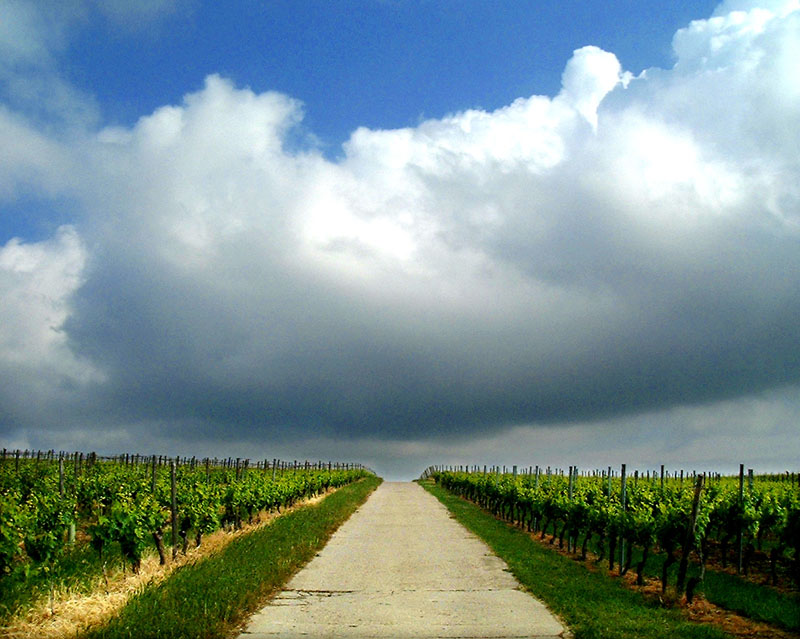 Wolken ber Wingert