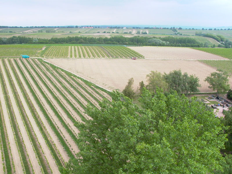 Blick vom Kirchturm