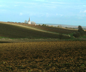 Gabsheim Landschaft