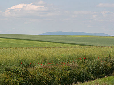 Blick zum Donnersberg