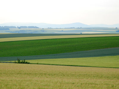 Blick zum Odenwald